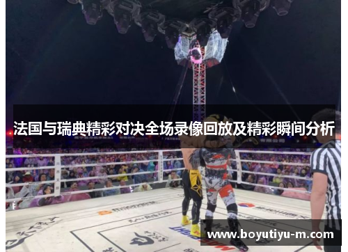 法国与瑞典精彩对决全场录像回放及精彩瞬间分析